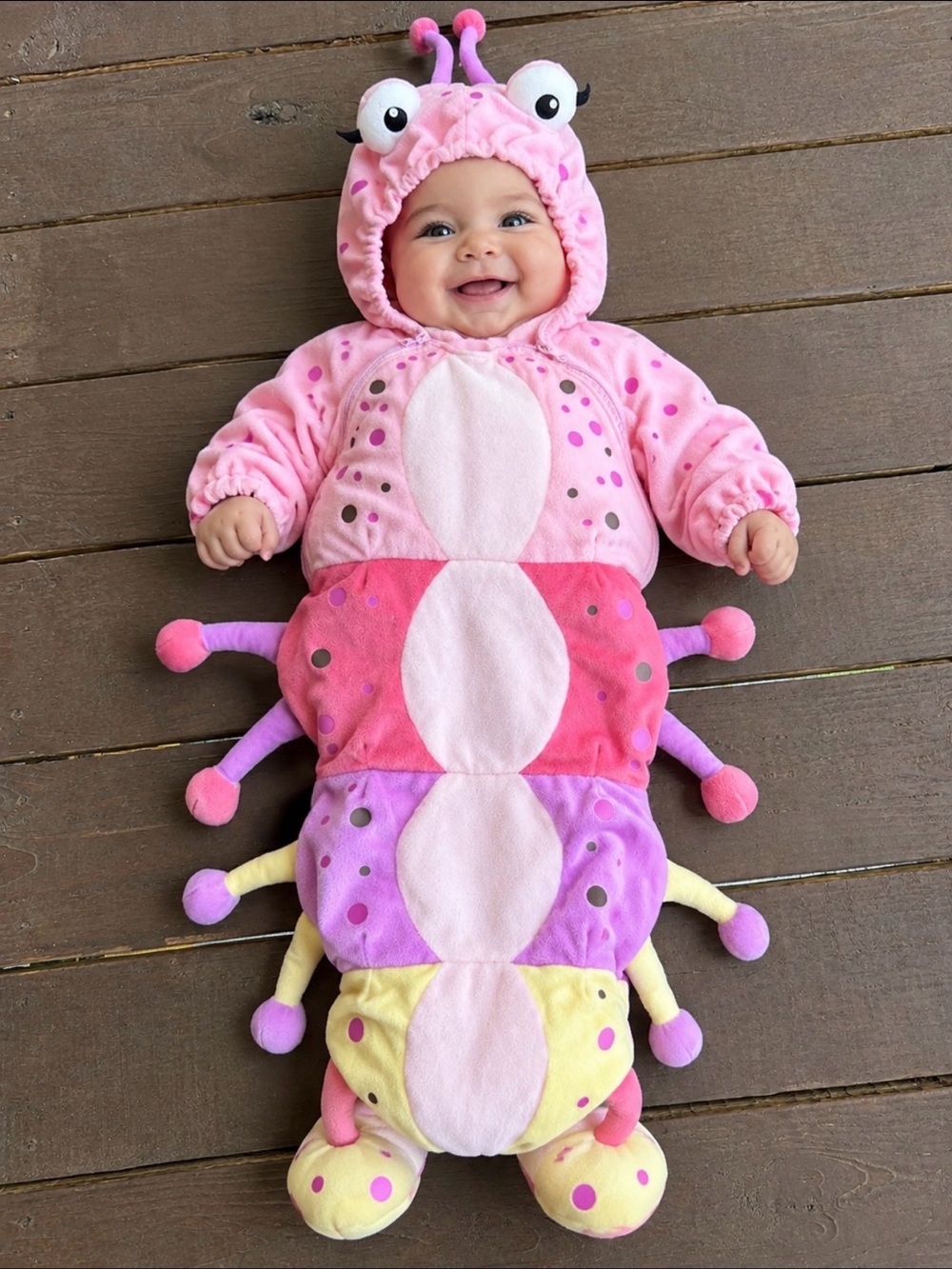 Babystyle Caterpillar worm infant bunting Halloween Costume size 0-6 months